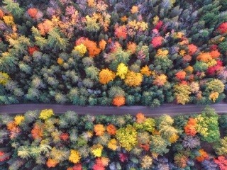 Jeseň v majestátnych Tatrách: