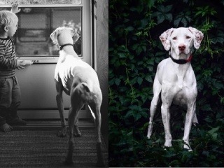 Príbeh, ktorý vás dojme