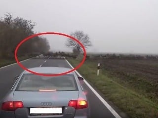 Vodičov v Maďarsku šokoval