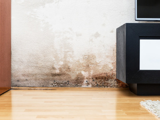 Zápach, nepríjemný pocit i