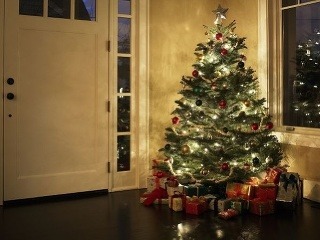 Živý vianočný stromček ukrýva