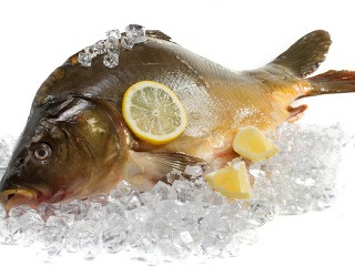 Kapor: symbol Vianoc na