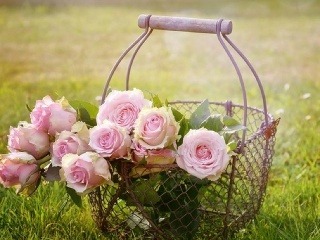 Po kvetoch túži každá