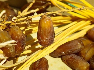 Zdravá náhrada sladkostí: Datle