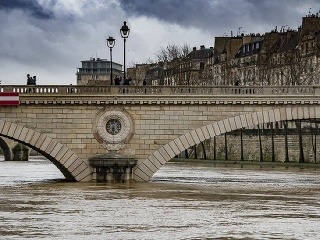 Parížanov máta stúpajúca Seina: