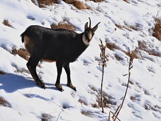 Stresujúce situácie majú následky: