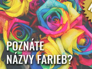 KVÍZ Dokážete určiť správny