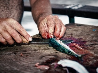 VIDEOTIP 5 kľúčových zručností