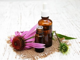 Echinacea – tajomstvo indiánskych