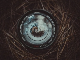 Slovenské kino žije: Nové