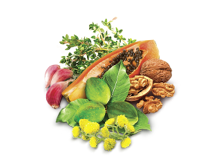 Nový smer detoxikácie -