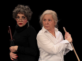 Staré dámy, alebo komédia