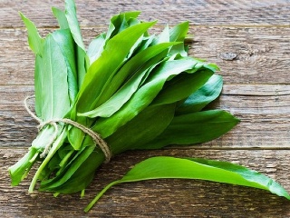 Medvedí cesnak ako najsilnejší