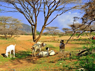 Väčšina obyvateľstva sa živí