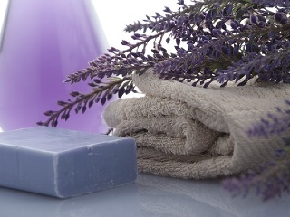 VIDEOTIP Čo všetko sa