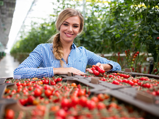Chutné paradajky začiatkom jari?
