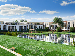 Sused paroháč? Zvieratá lákajú