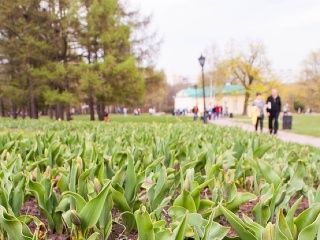Najjedovatejšia nástraha jari: Ľudia