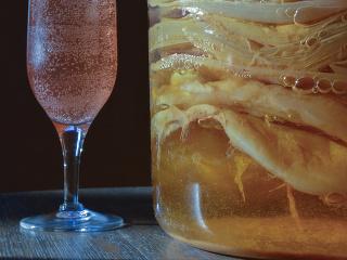 Kombuča je malá chemická