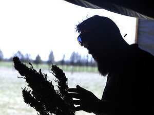 Peniaze by mohli rásť