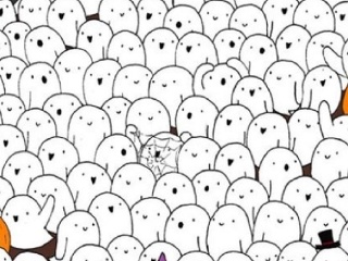 FOTOhádanka: Kto najrýchlejšie nájde