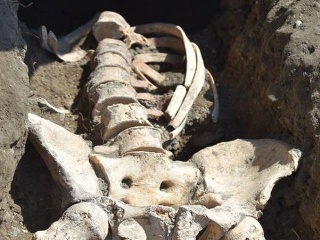 Kostry nájdené pri rekonštrukcii