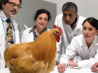 Smiať sa alebo plakať?