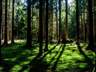 Parádny tip na výlet: