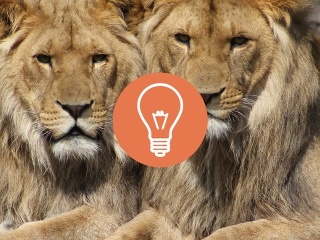 KVÍZ zo zvieracej ríše: