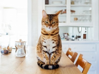 Super tipy nielen do