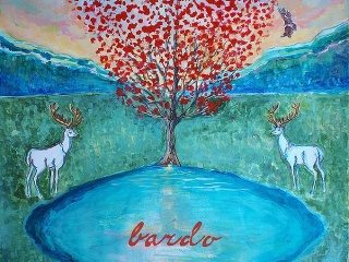 Sisa Fehér na albume