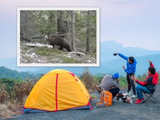 Trojica turistov stretla grizlyho