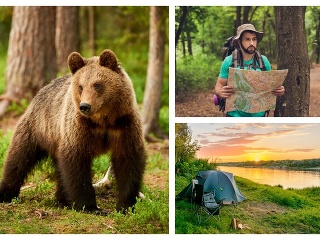 Medvede napádajú turistov v