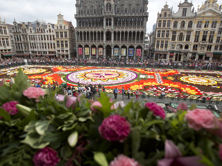 Kvetinový koberec v Belgicku