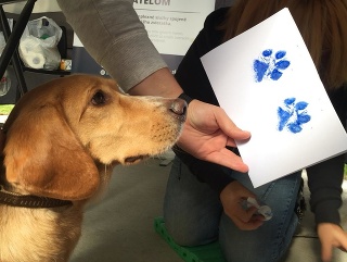 Charitatívne podujatie Nájdite sa