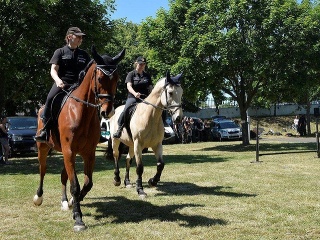 Policajti so služobnými koňmi