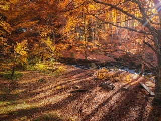 Slovensko ešte nikdy nevyzeralo