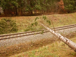 Strom poškodil vlak, pričom