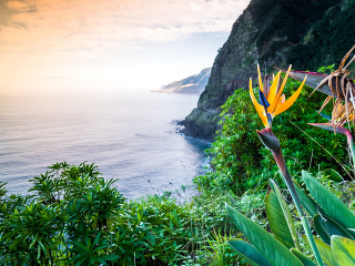 Madeira, Portugalsko