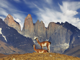 Torres del Paine, Patagónia,