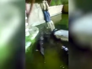 VIDEO Chovateľ aligátorov chcel