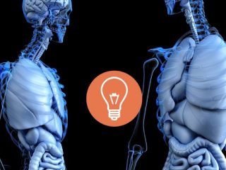 KVÍZ Čo všetko (ne)vieš