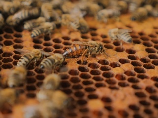 Slovensko bude vo svete
