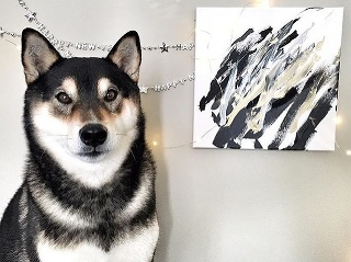 Pes maľuje obrazy.
