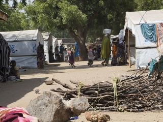 Tábor pre vysídlených v