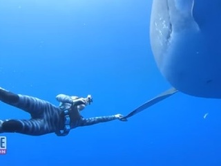 VIDEO Potápačom sa pri