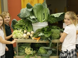 Začala sa revolúcia v