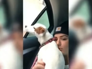 VIDEO Dievčina chcela šteniatku
