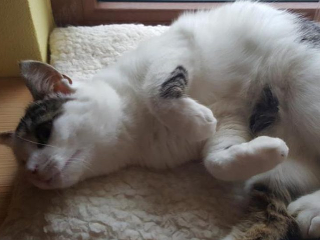 ROZHOVOR Lenku k podnikaniu