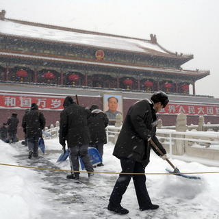 Peking ochromil sneh, doprava